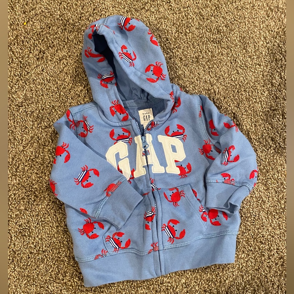 Gap Hoodie